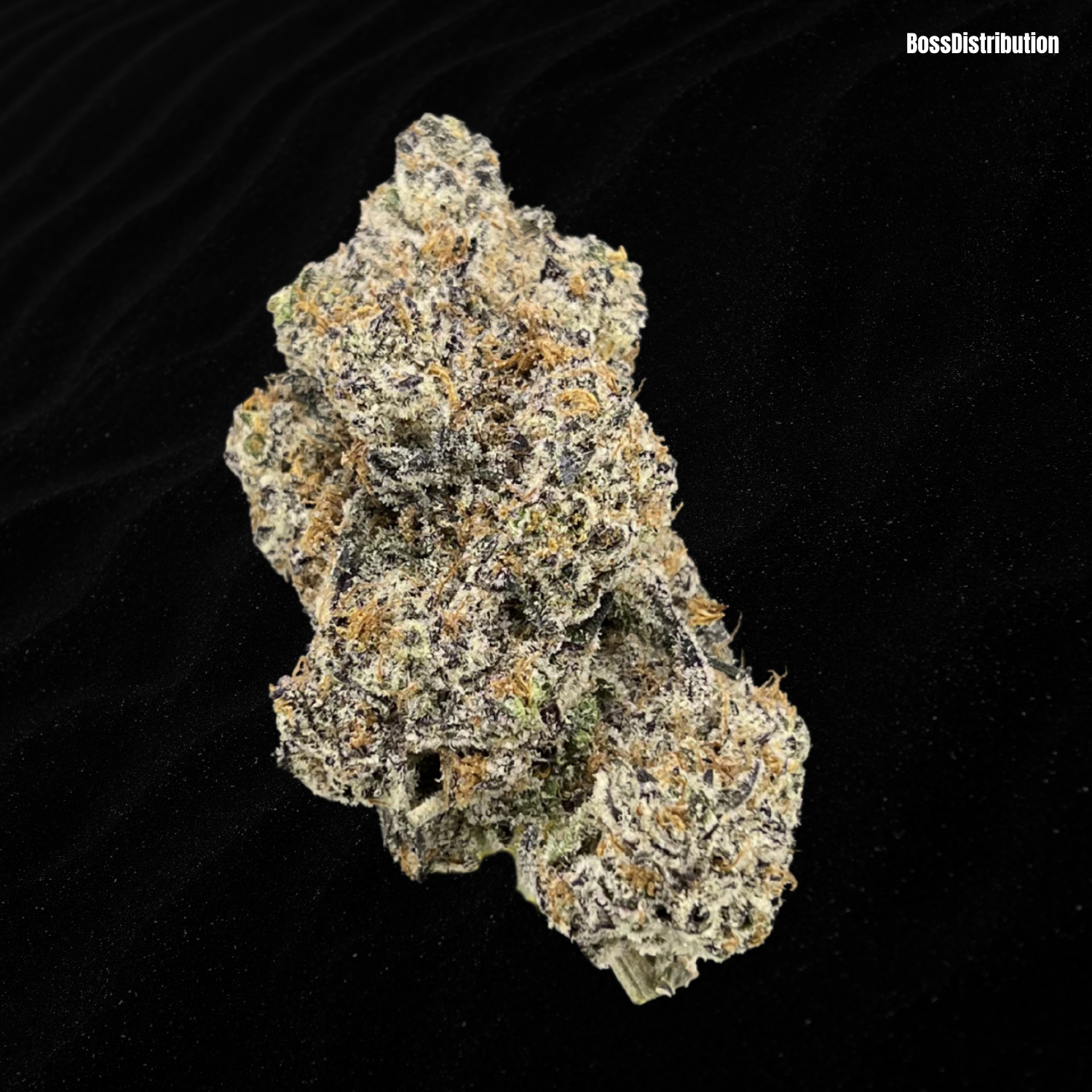 White Truffle