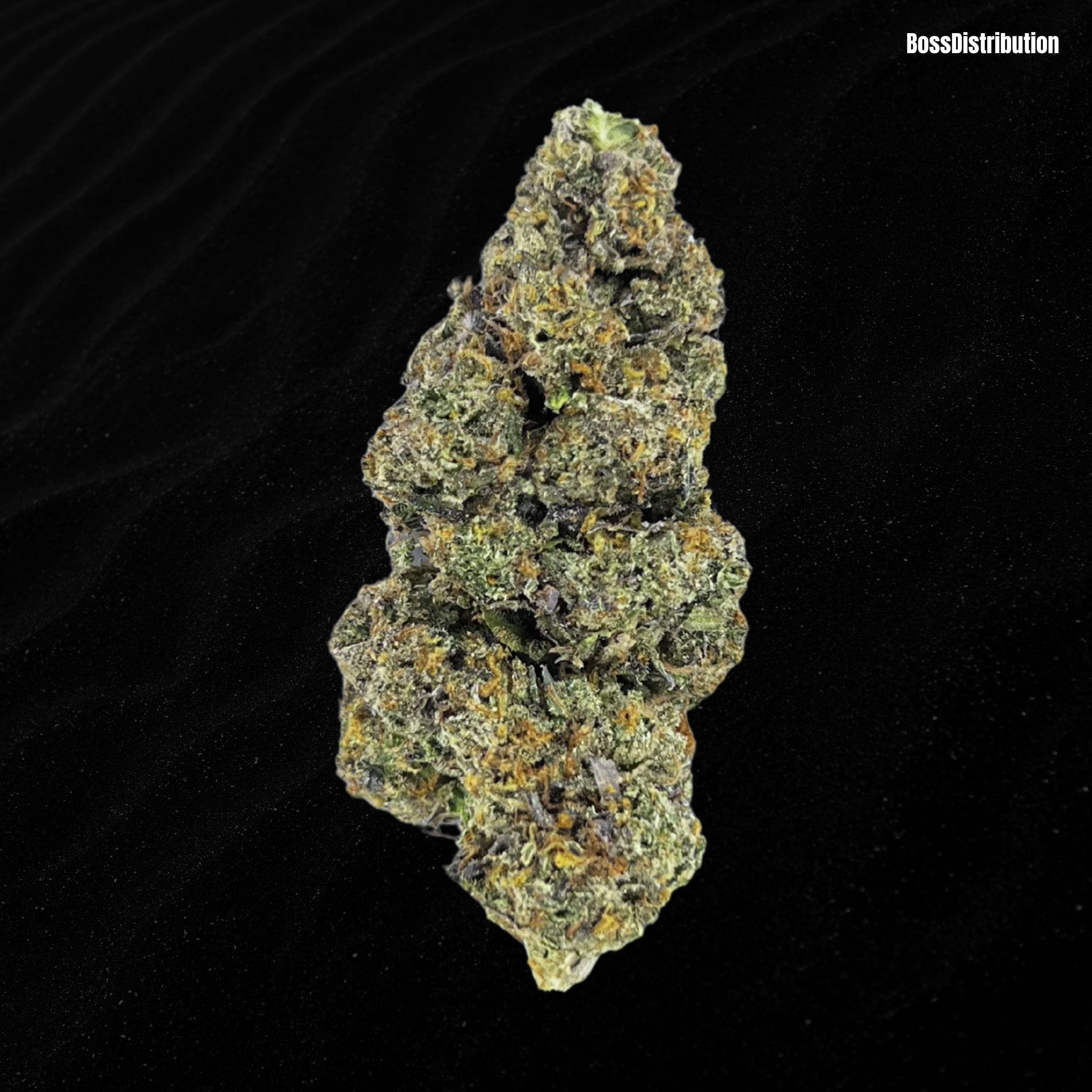 Gelato 47