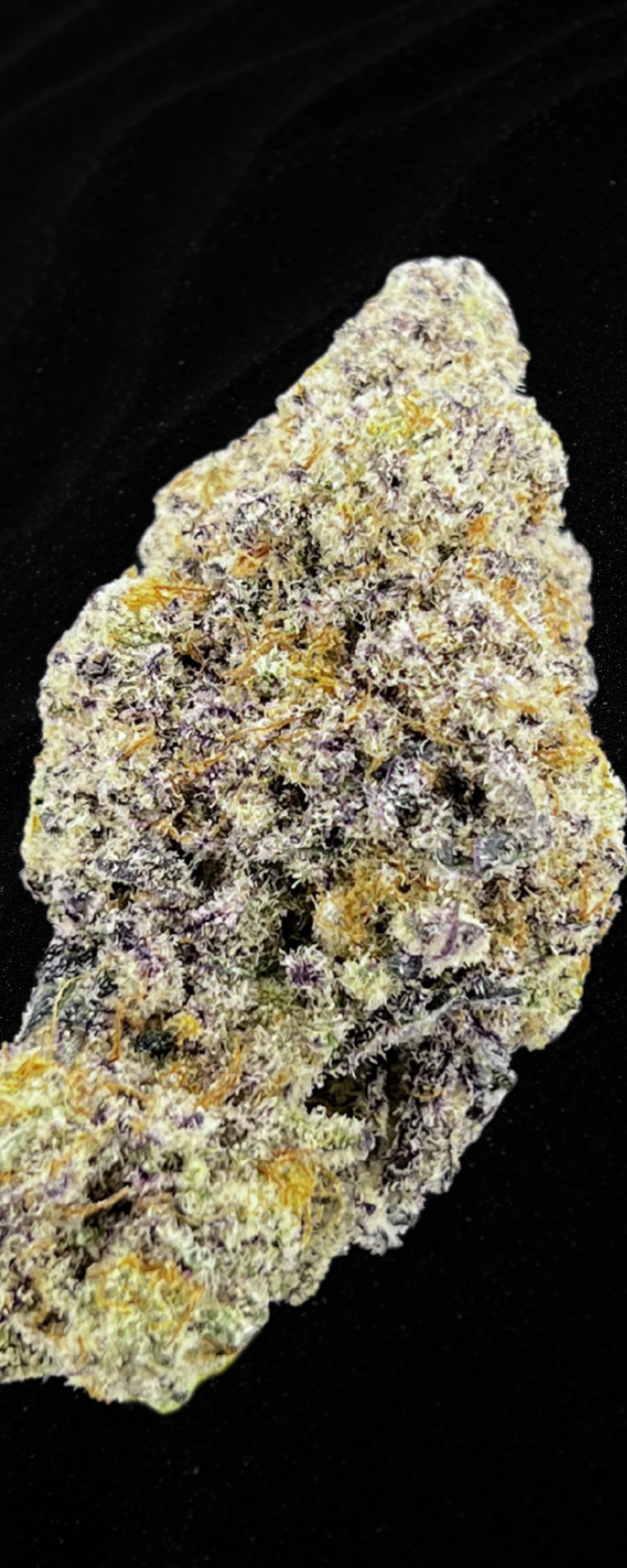 MAC 1