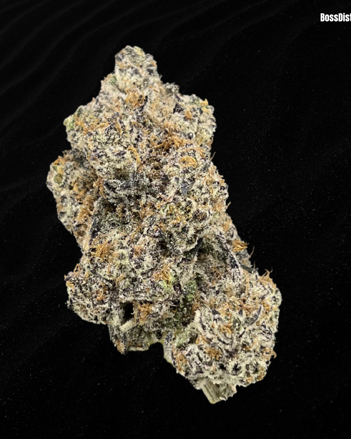 White Truffle