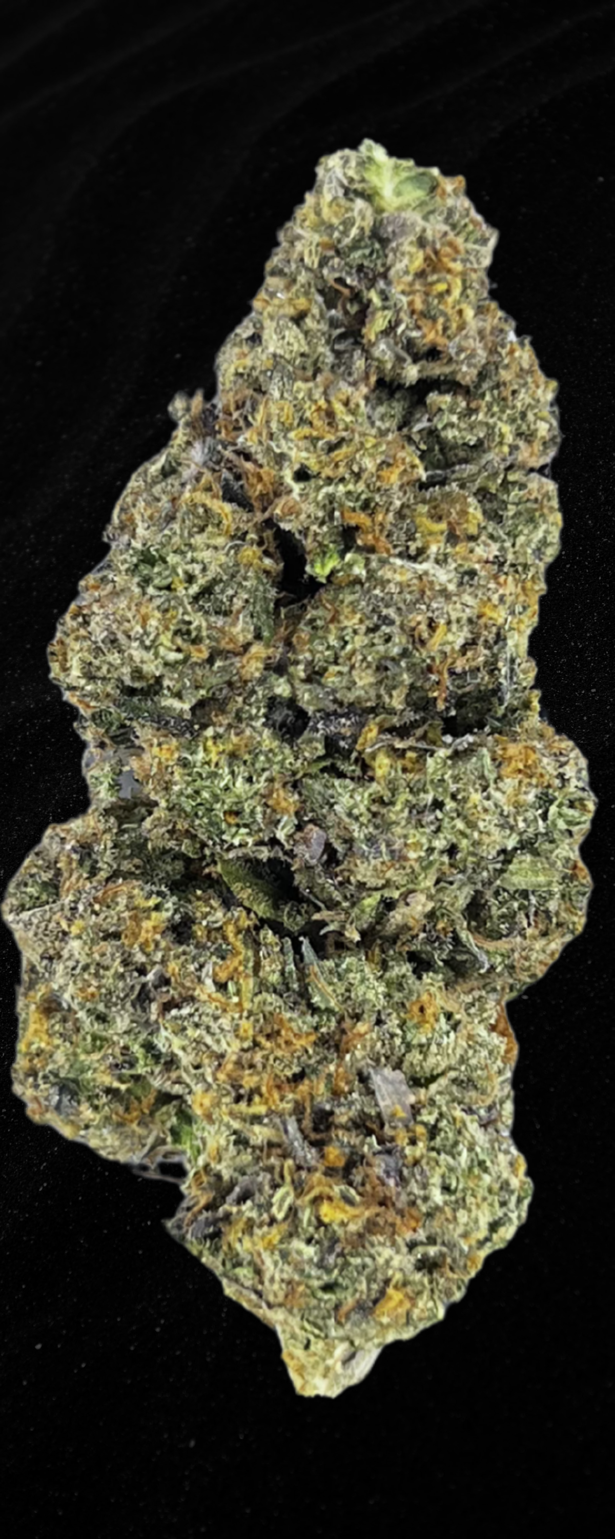 Gelato 47