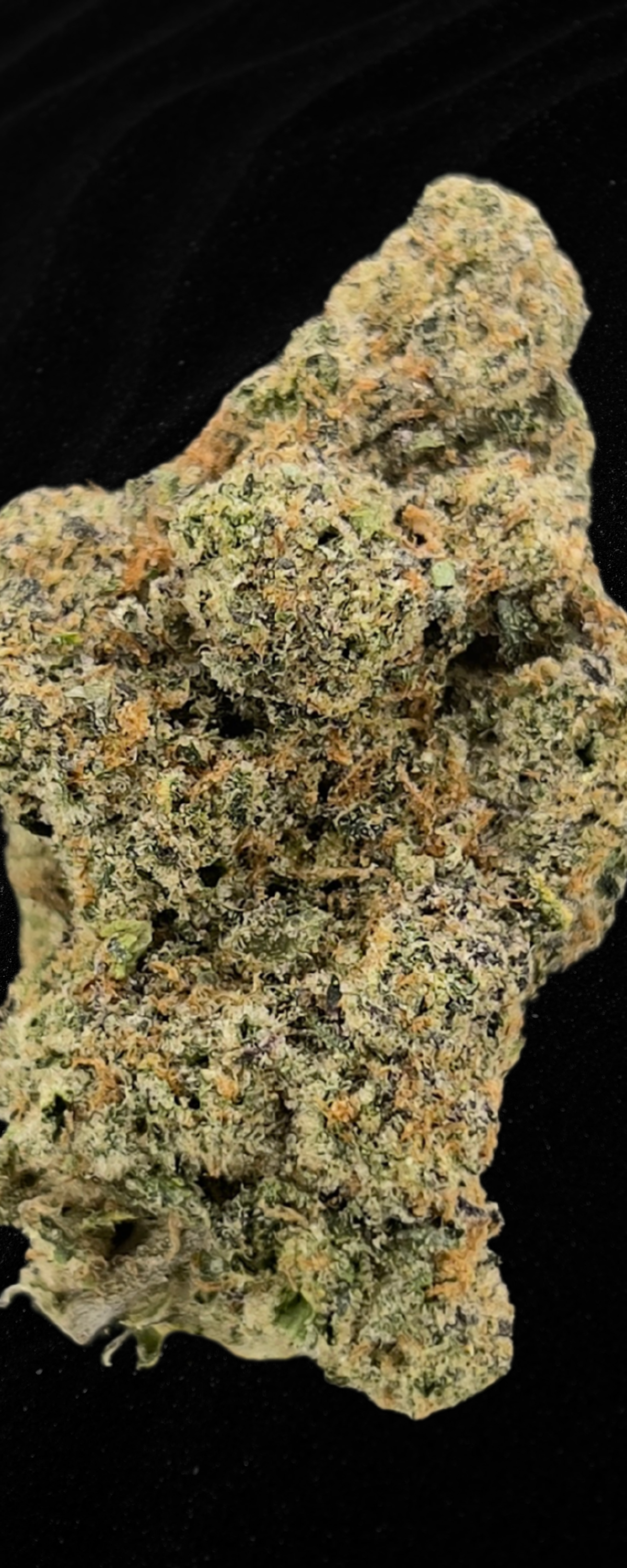 Caribbean Breeze