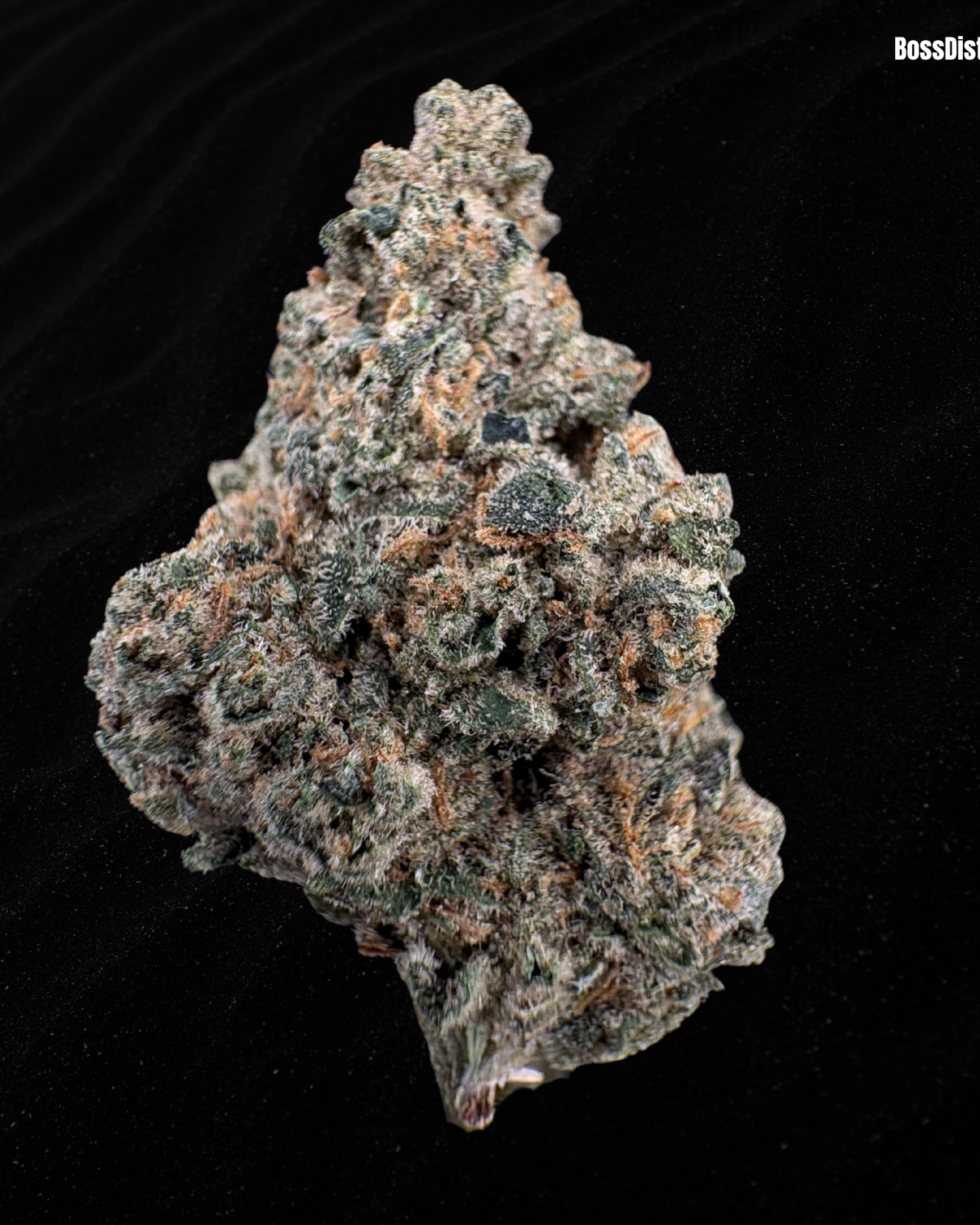 Chem De La Chem